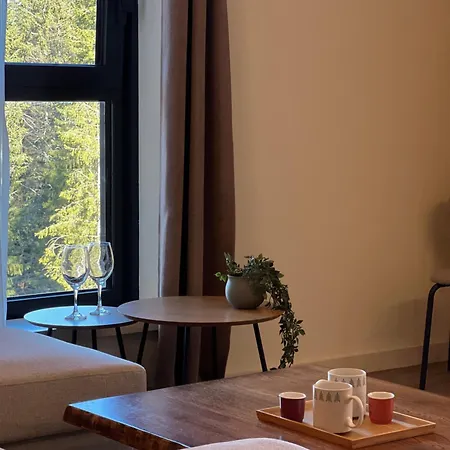 Aria Skyhill Jahorina- Poljice- With Free Garage * Jahorina